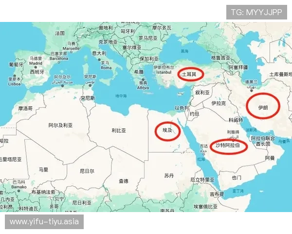 埃及VS伊朗世界杯比赛比分公布，比赛过程中的精彩瞬间与战术分析
