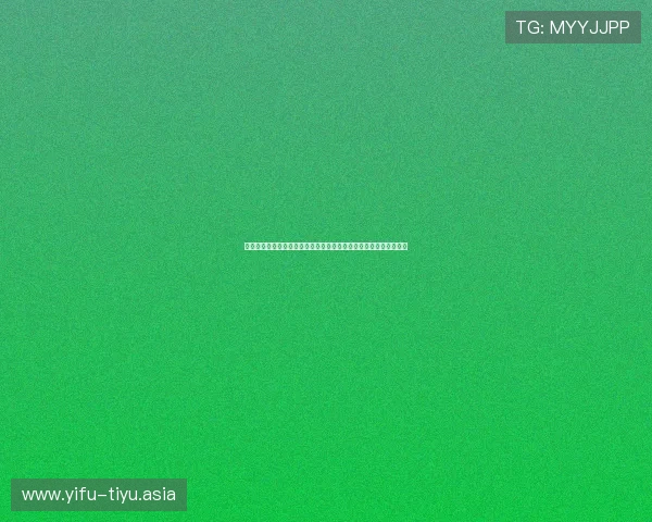 体育公园系统助力世界杯主题报道全面升级打造沉浸式足球体验平台